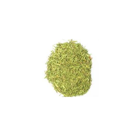 Estragon | TheFlavourShop