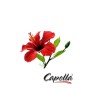 Capella Hibiscus Aroma – Frisk Blomster Smag