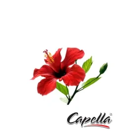 Capella Hibiscus Aroma – Frisk Blomster Smag