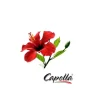 Capella Hibiscus Aroma – Frisk Blomster Smag