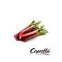 Capella Rhubarb Aroma – Frisk Rabarber Smag