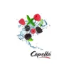 Capella Bær og Mynte Aroma Berry Blend