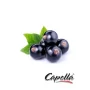Capella Solbær Aroma Blackcurrant Smagsaroma