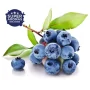 Blueberry aroma – Sød blåbærsmag | TheFlavourShop.dk