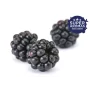 Dark Blackberry aroma – Intens brombærsmag | TheFlavourShop.dk