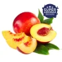 Super Aromas- Nectarine (Nektarin) aroma