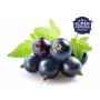 Super Aromas Blackcurrant Solbær Aroma | Intens Solbærsmag | TheFlavourShop