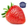 Super Aromas Ripe Strawberry Jordbær Aroma | Moden Jordbærsmag | TheFlavourShop