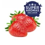 Super Aromas Premium Strawberry Jordbær Aroma