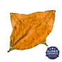 Super Aromas-Golden leaves (MB)