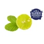 Citrus Mint Cool aroma – Frisk citrus & mynte | TheFlavourShop.dk